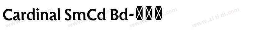Cardinal SmCd Bd字体转换 Cardinal SmCd Bd字体转换